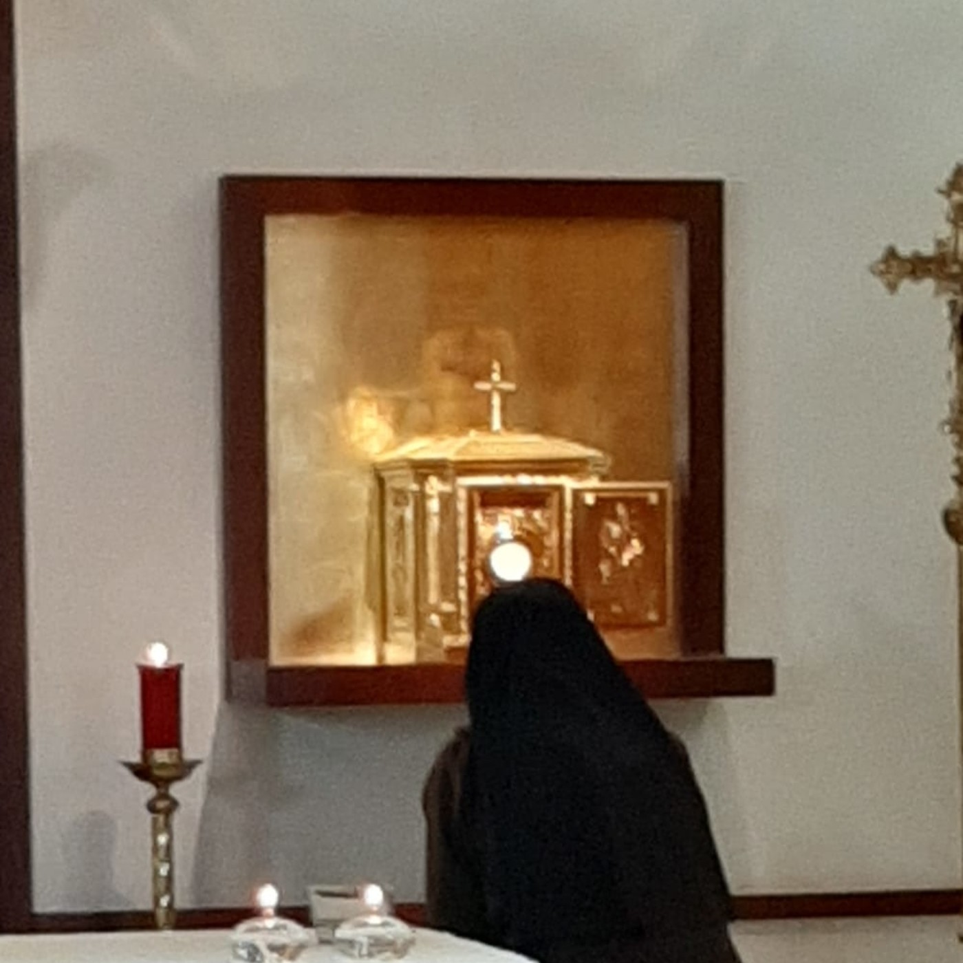 Adoraciones Samaritanas