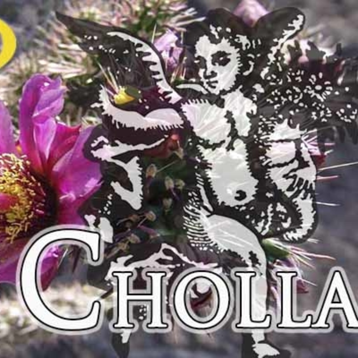 El Angel de tu Salud - CHOLLA