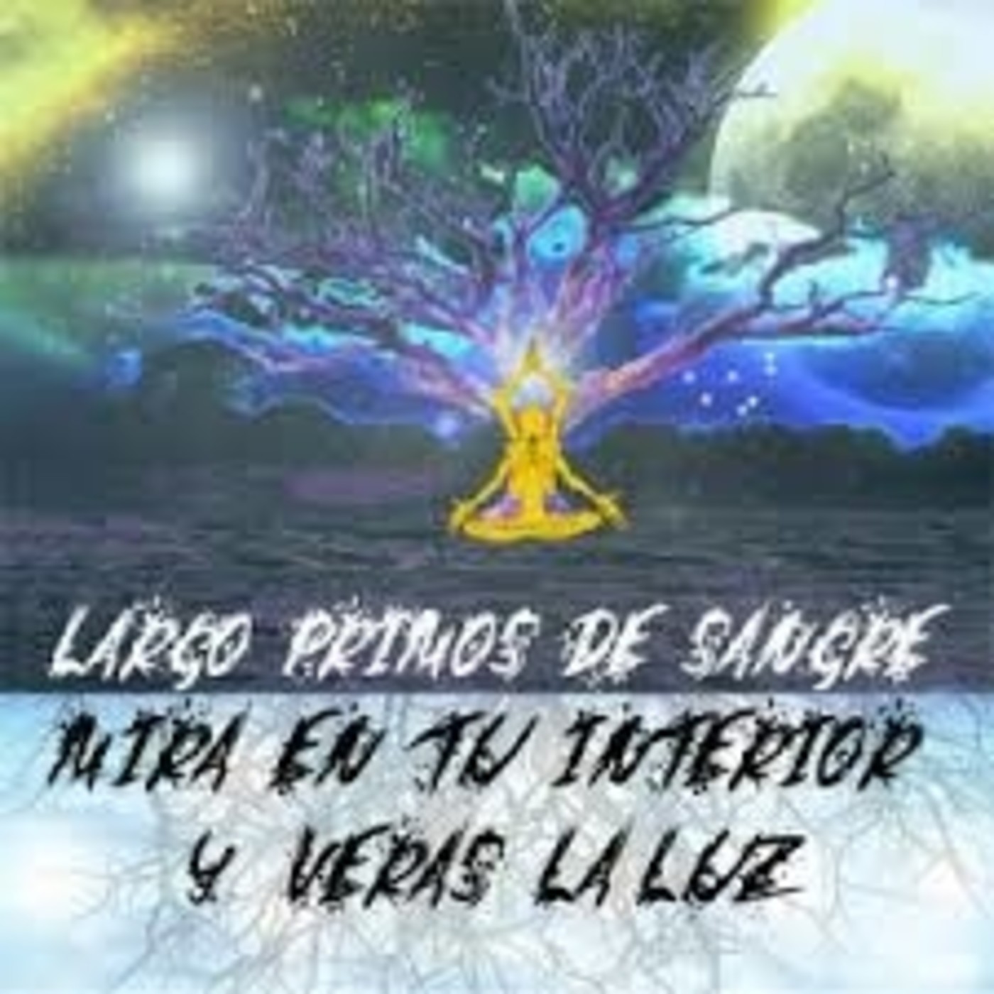 Kultura D-Mente 22/01/2017 13x11 Largo PDS "Mira en tu interior y verás la luz". episode artwork