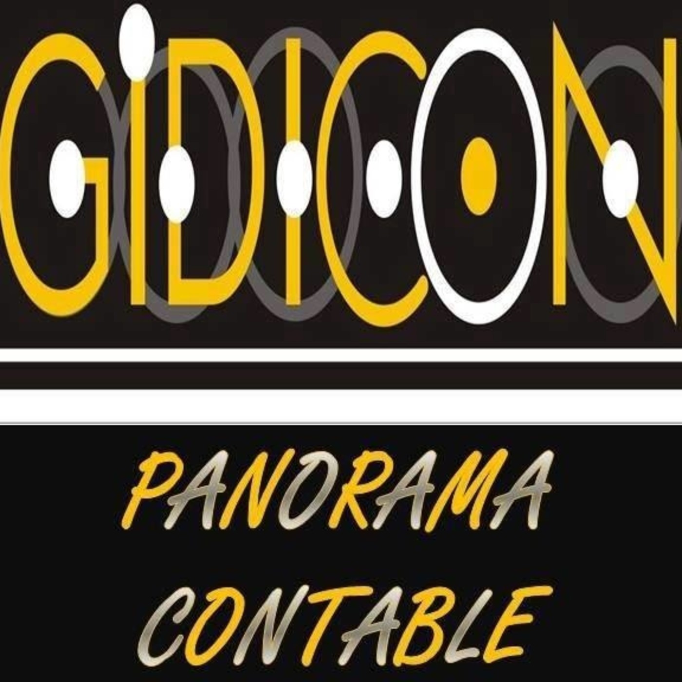 Panorama Contable