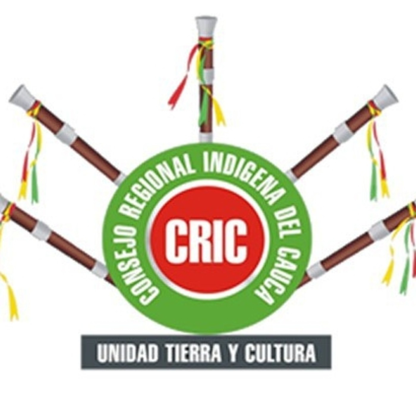 informativo CRIC-AMCIC- 01 junio 2020 episode artwork
