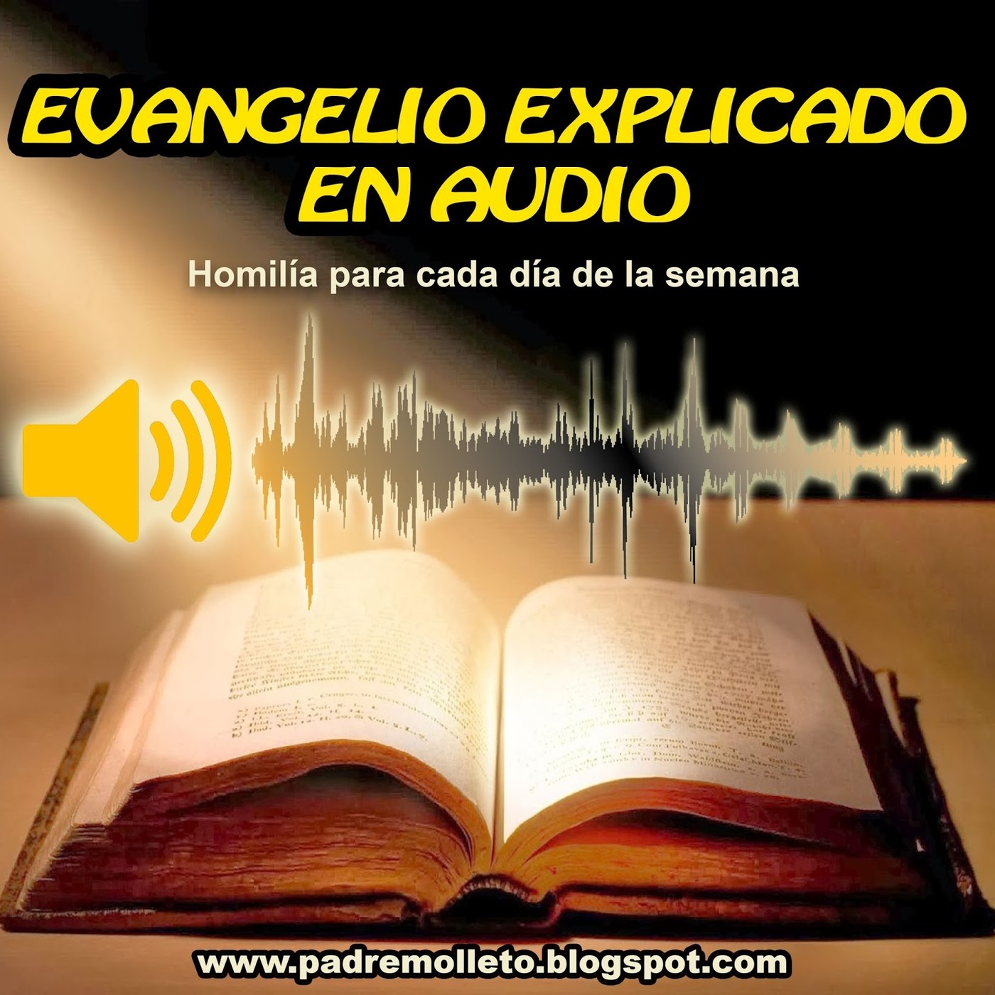 Evangelio explicado en audio homilía domingo II tiempo de adviento episode artwork