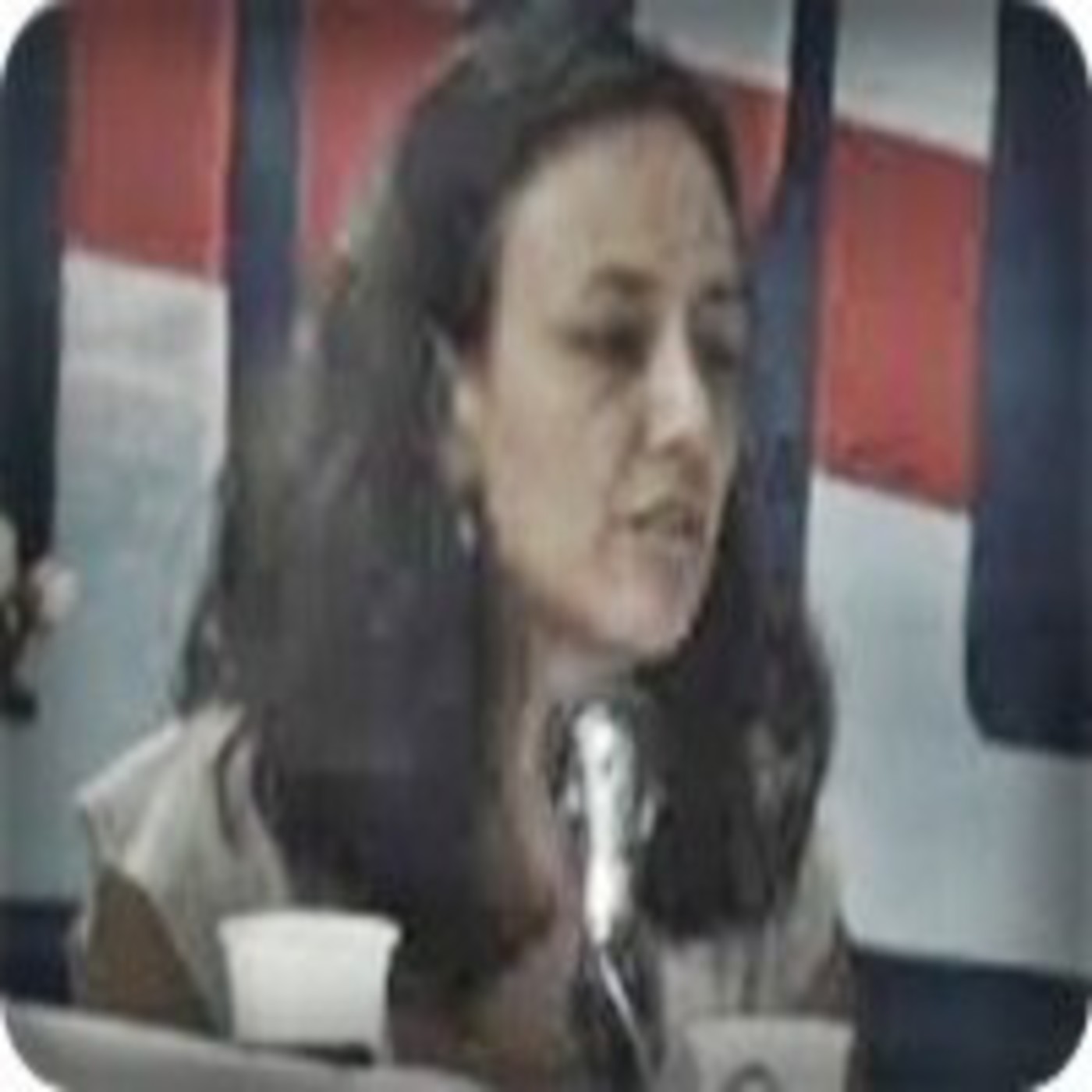 Argentina:Fondo de Mujeres del Sur