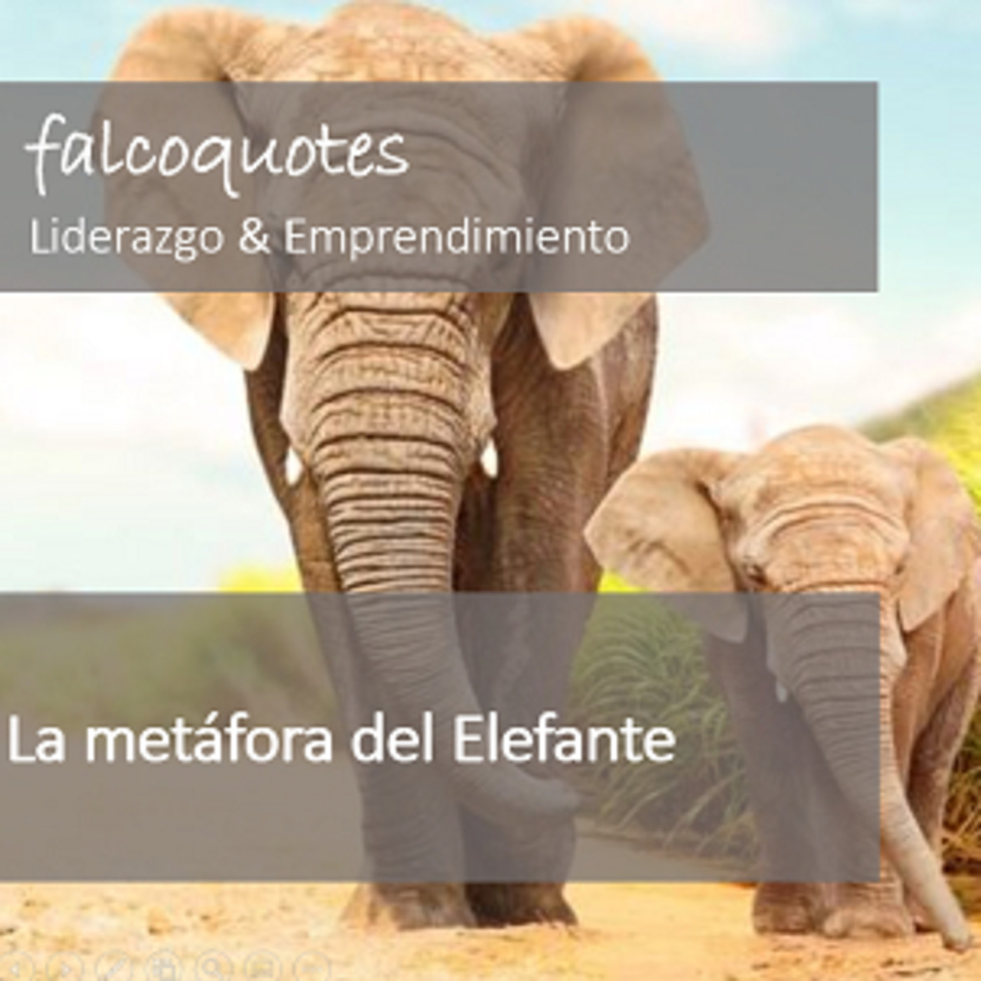 La metáfora del elefante