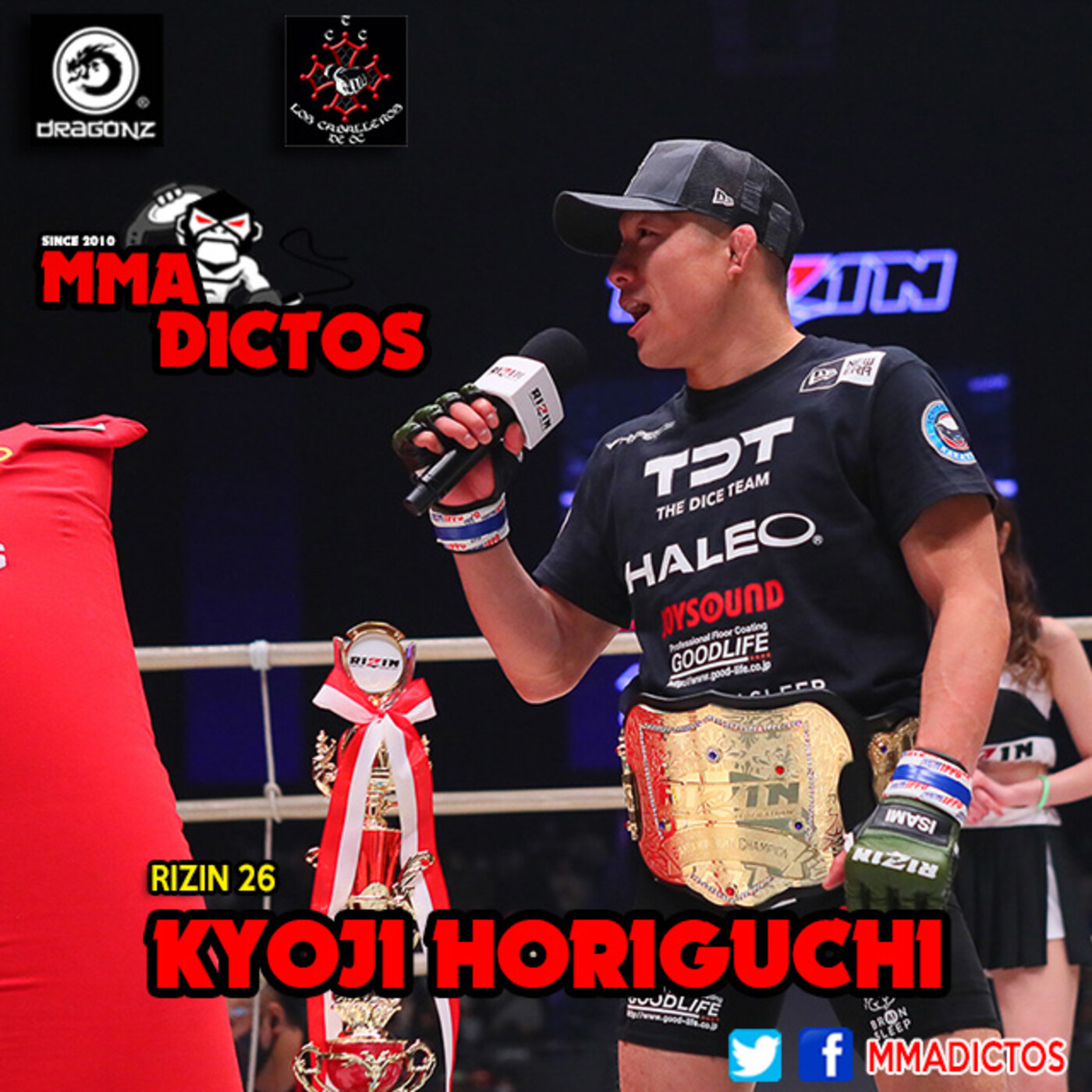 MMAdictos (MMA en Español)