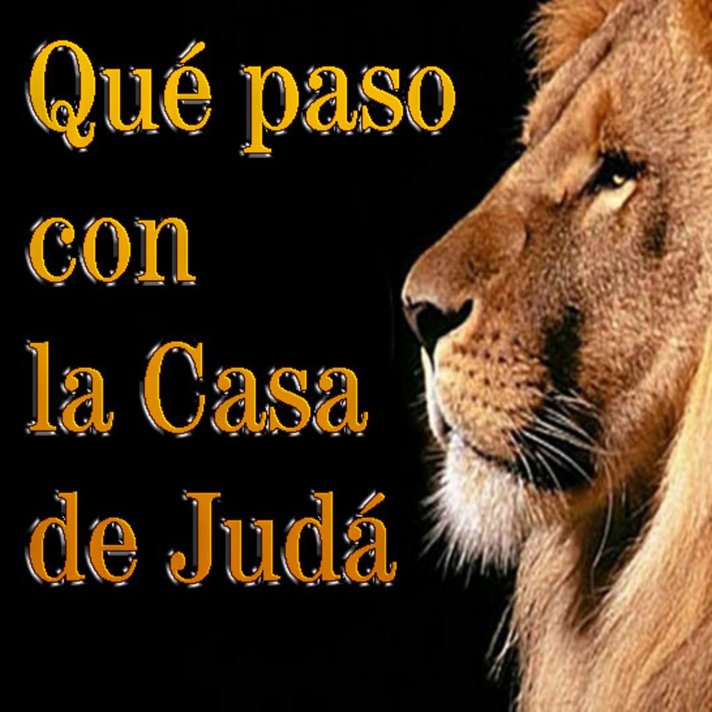 Las 2 casas de Israel - Qué paso con la casa de Judá #08 episode artwork