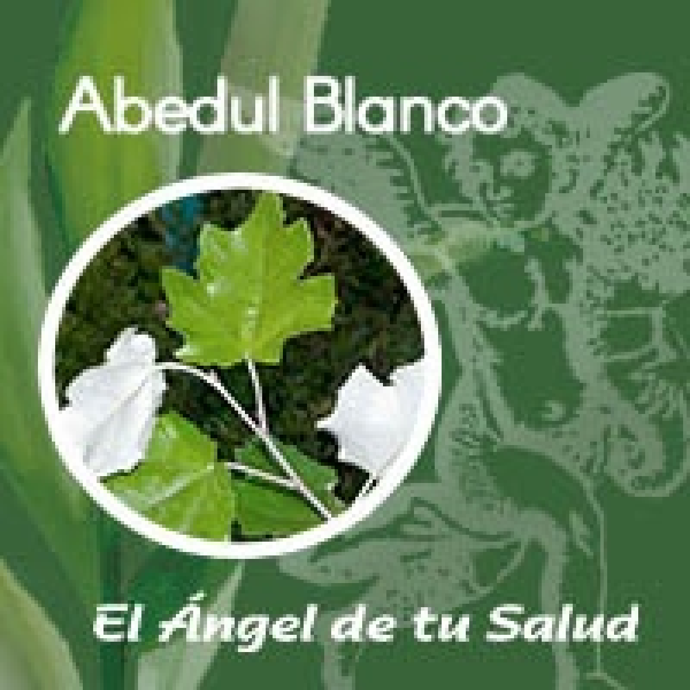 El Ángel de tu Salud - Abedul Blanco** episode artwork
