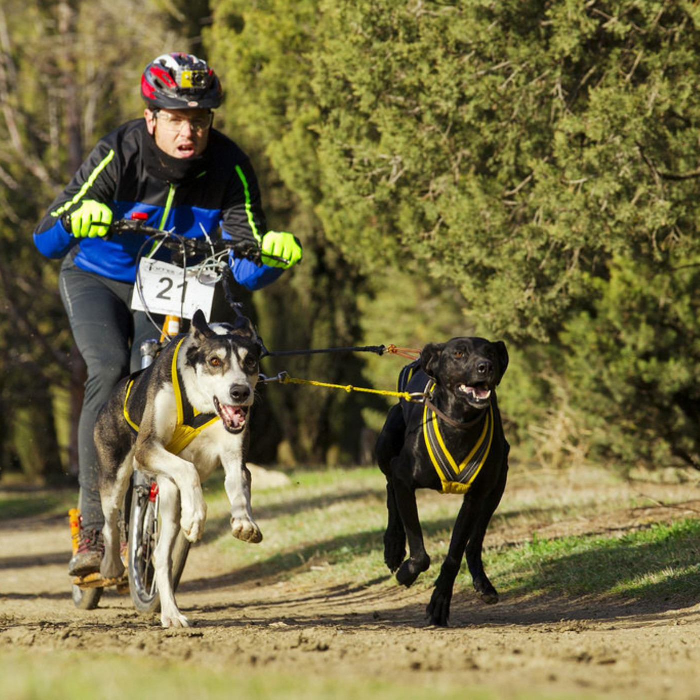 Mediteradio Pata-a-Pata