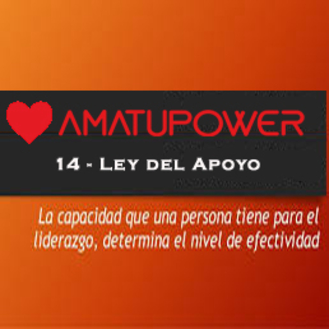 Las 21 leyes Irrefutables del liderazgo de John C.