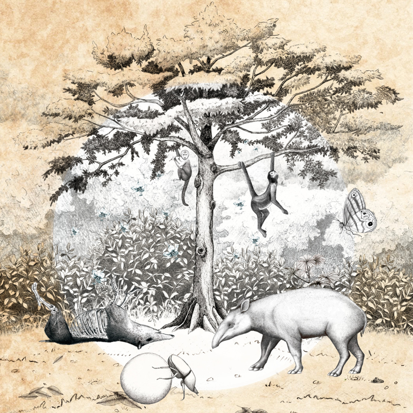 Atrás do "paper": Mamíferos e ciclo de carbono con Mar Sobral episode artwork