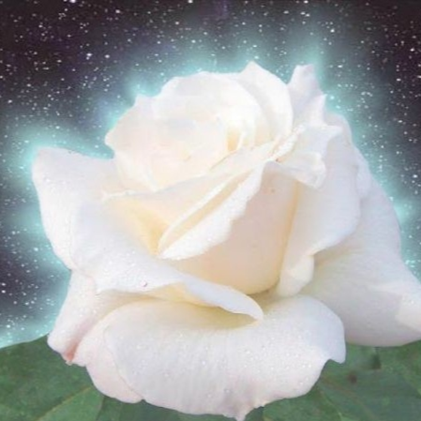 FRATERNIDAD ROSACRUZ DE MEXICO