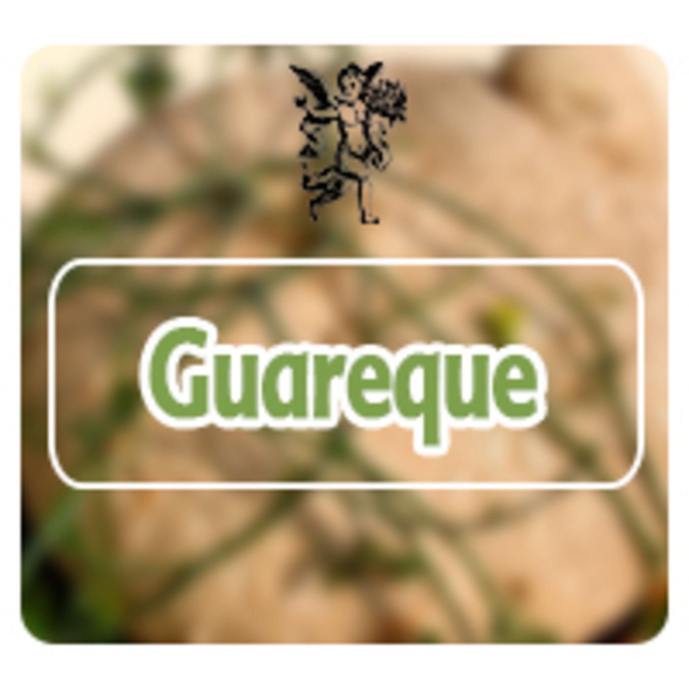 El Angel de tu Salud - GUAREQUE