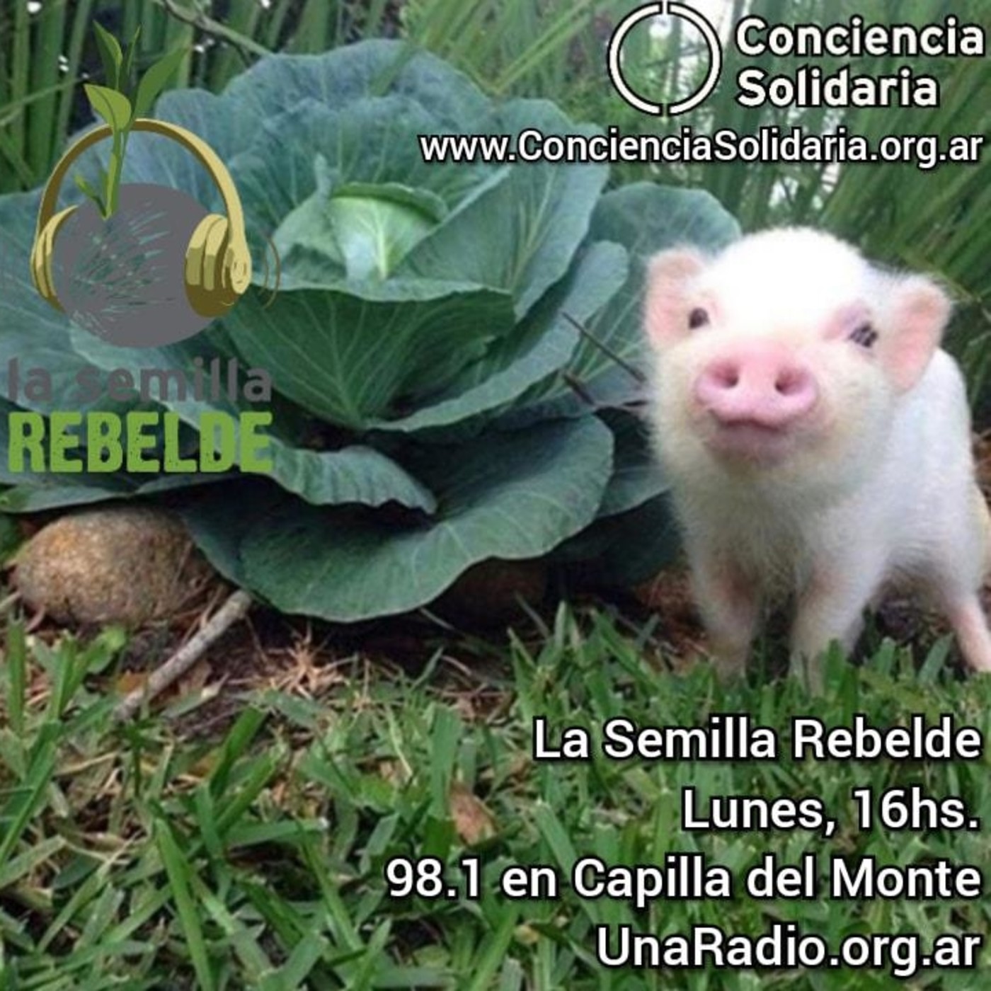 #Enganchate con #LaSemillaRebelde 1.7.2019 episode artwork