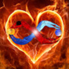 embed image