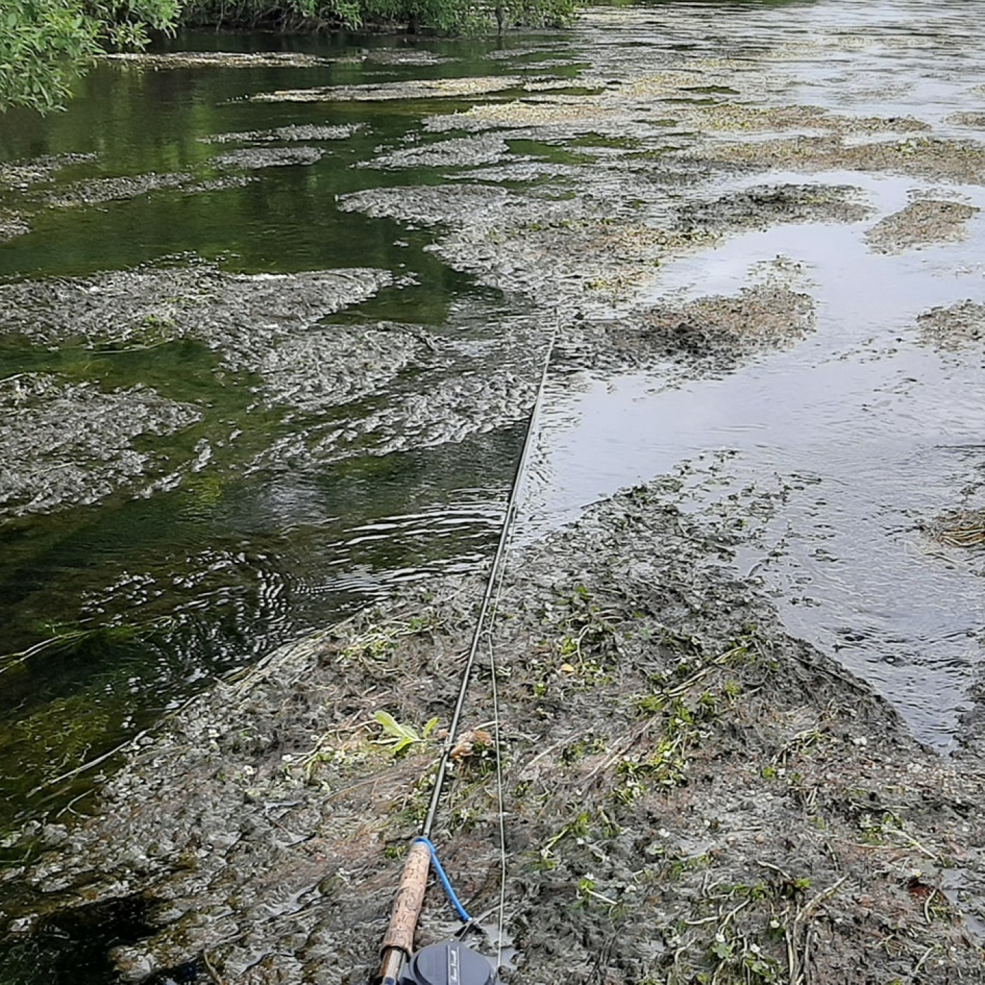 Rio de la Vida pesca