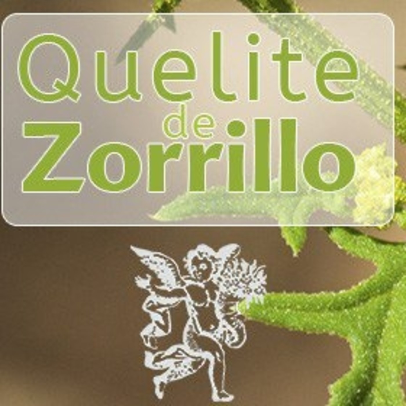 El Ángel de tu Salud - QUELITE DE ZORRILLO II episode artwork