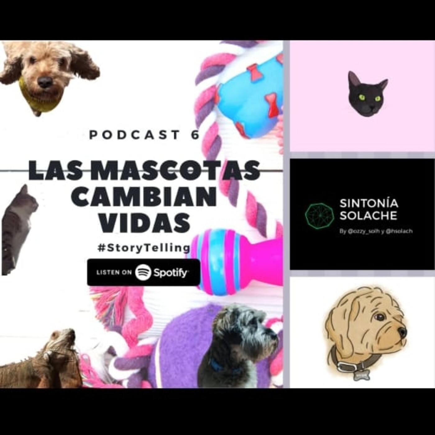 Sintonía Solache