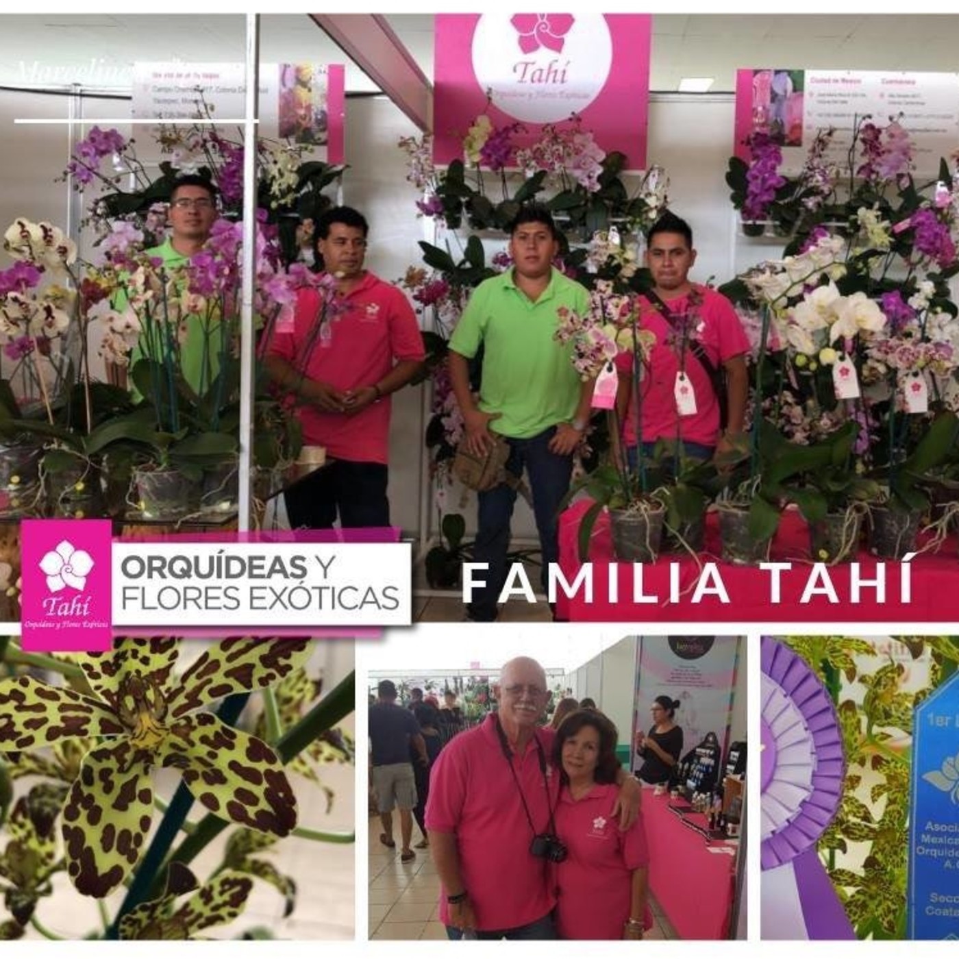 PLATIQUEMOS DE TURISMO