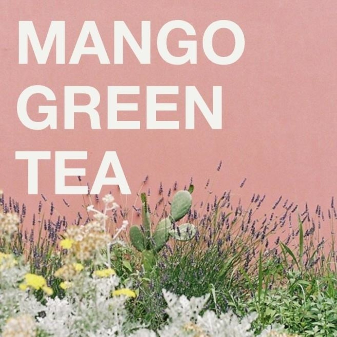 Días del pluscuamperfecto futuro