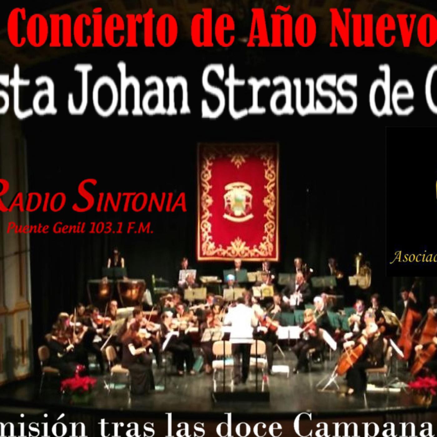 Conciertos en el Teatro-Circo