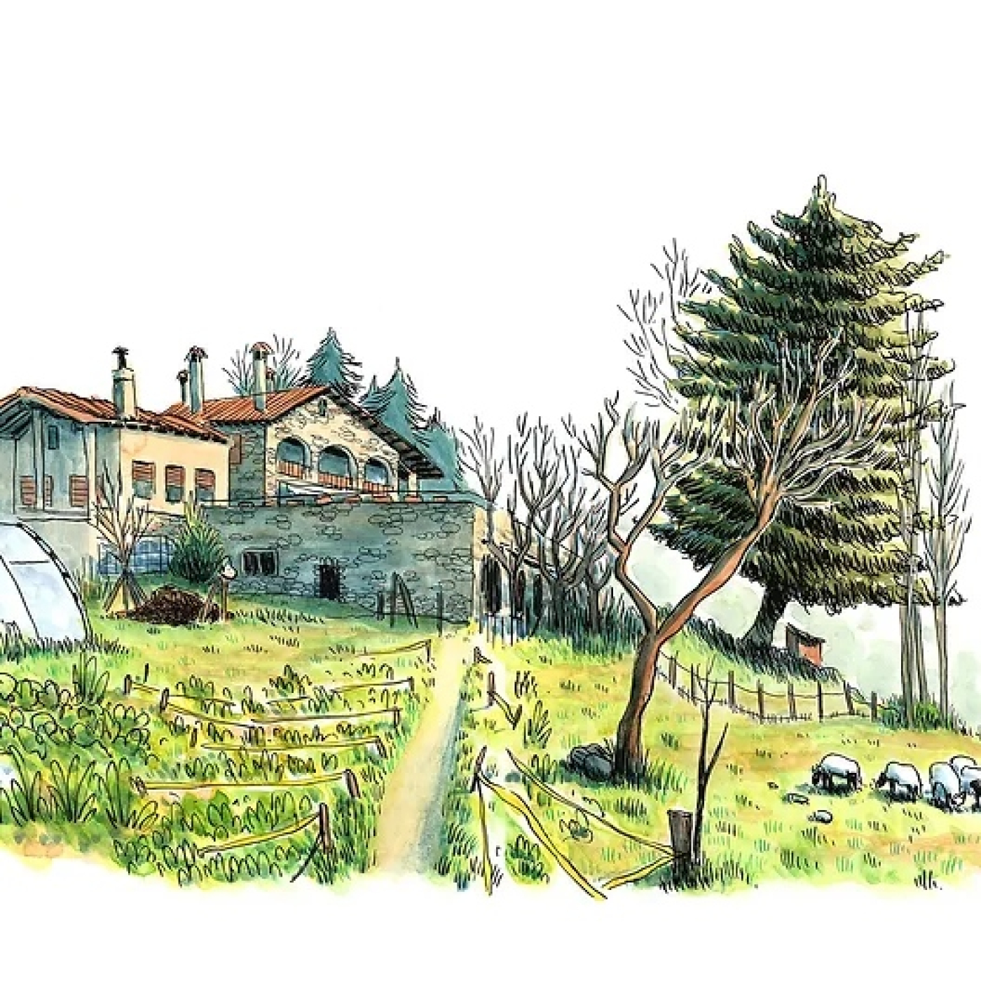 Parlem d'agricultura i ramaderia regenerativa amb Mas La Sala episode artwork