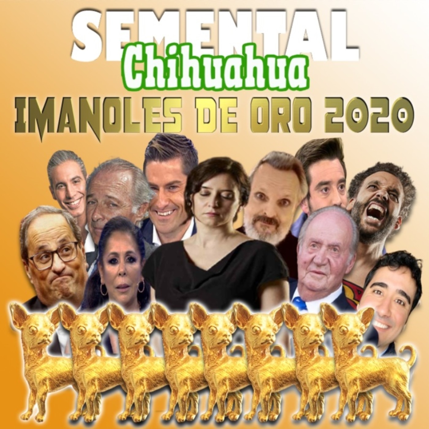 Semental Chihuahua