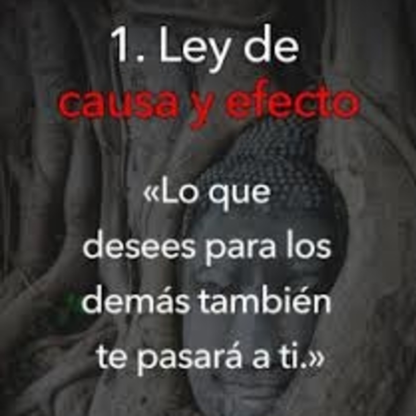 Metafísica con Sonia Sana