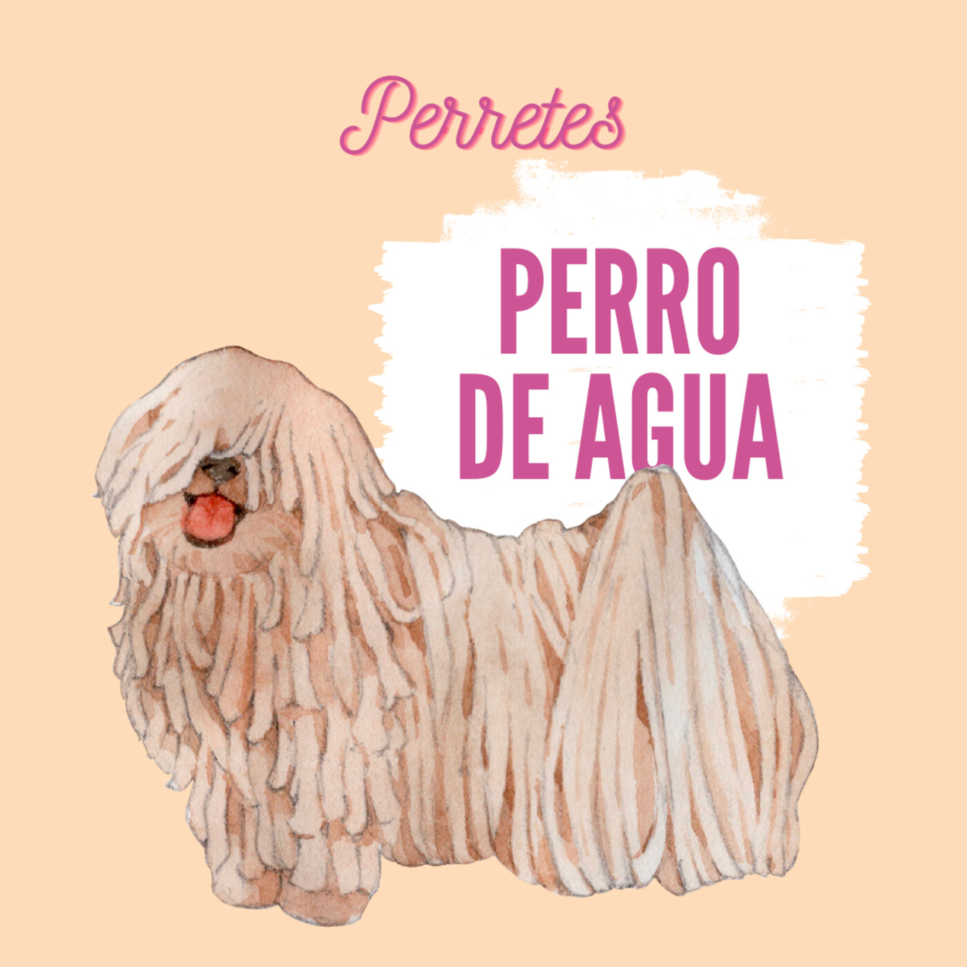 Perretes | Las razas de perros
