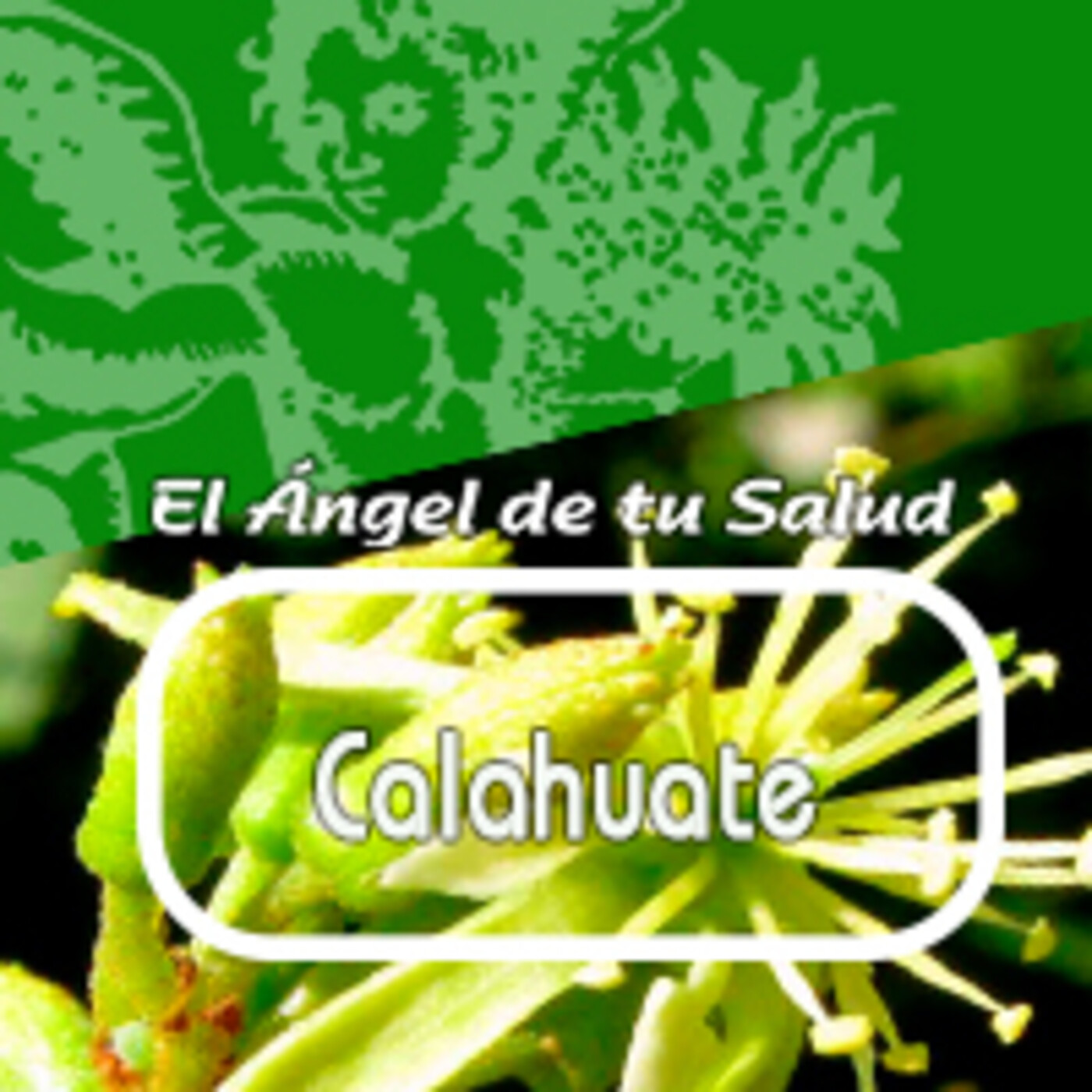El Angel de tu Salud - CALAHUATE* episode artwork