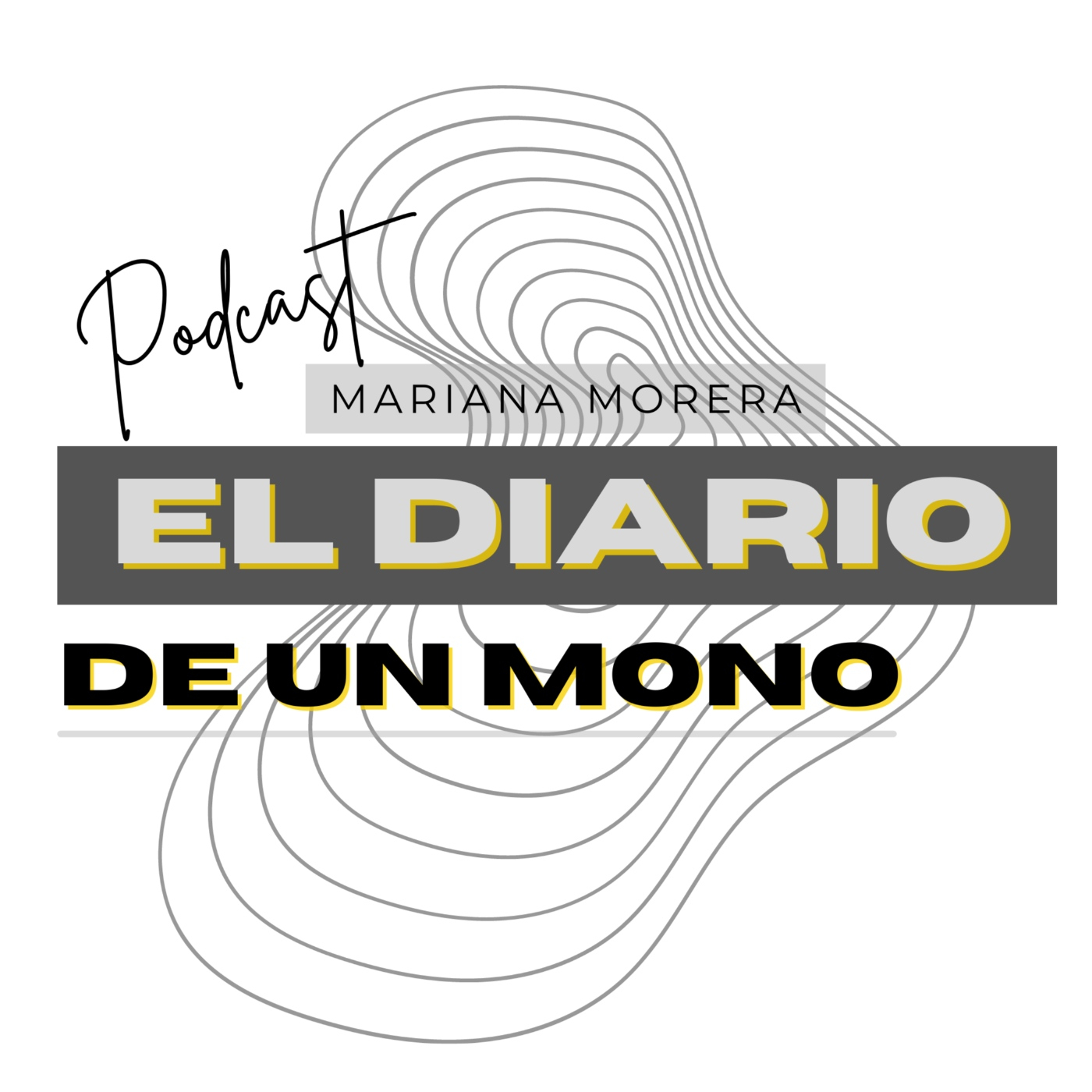 El Diario de un artista