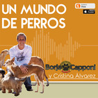 La Manada de Borja Capponi