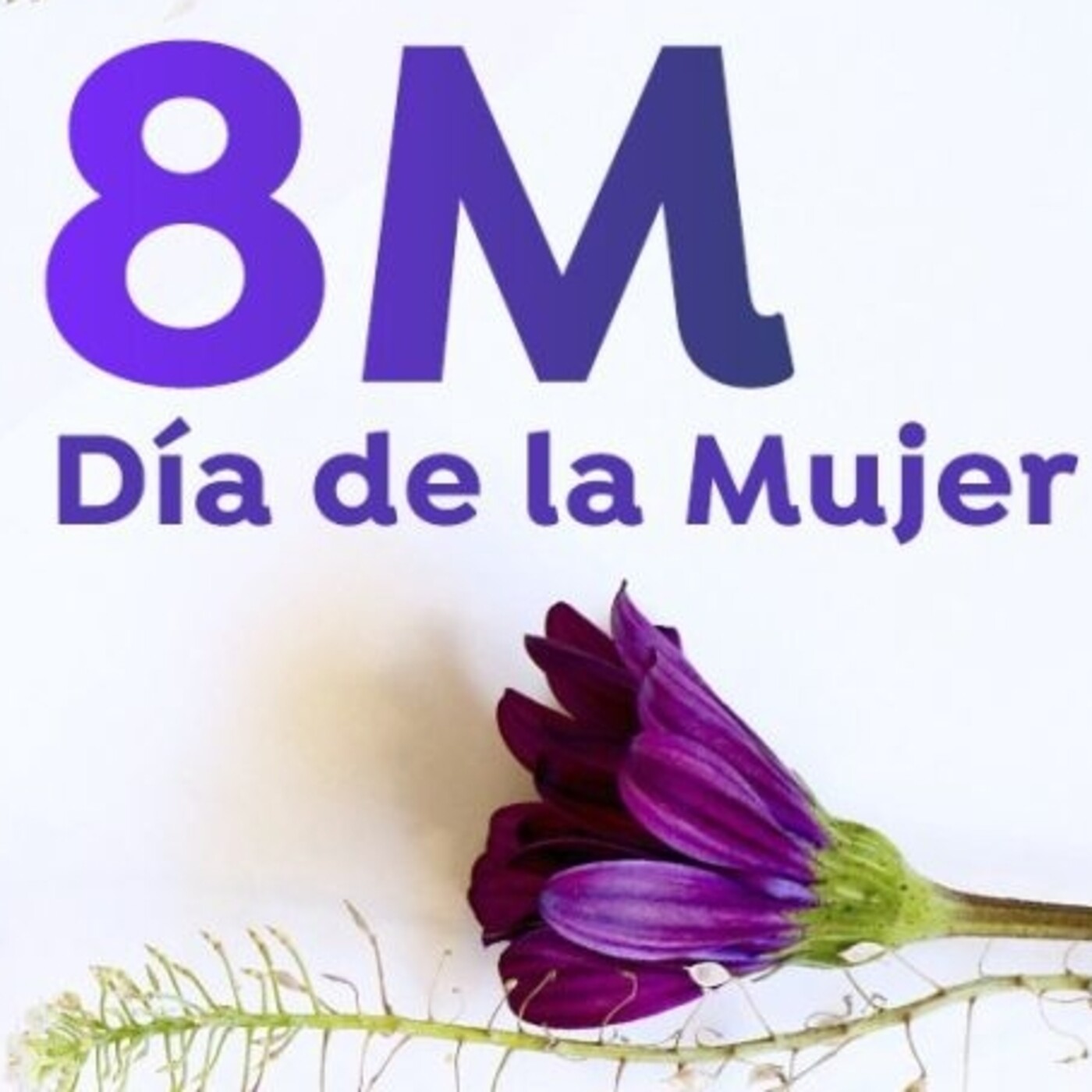 Programa 151 Especial Dia Internancional de la Mujer de Onda Juanele. episode artwork