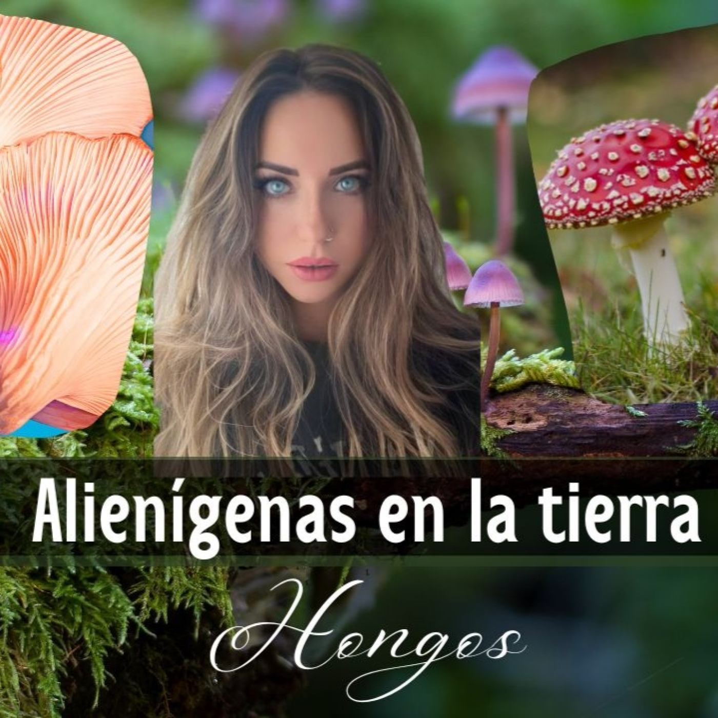 3ªT: Hongos alienígenas