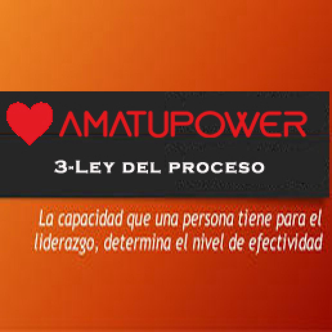Las 21 leyes Irrefutables del liderazgo de John C.