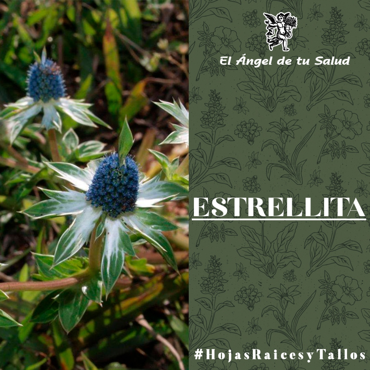 El Ángel de tu Salud - Estrellita** episode artwork