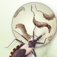 Zoonosis 10: Zoonosis en zoonosis