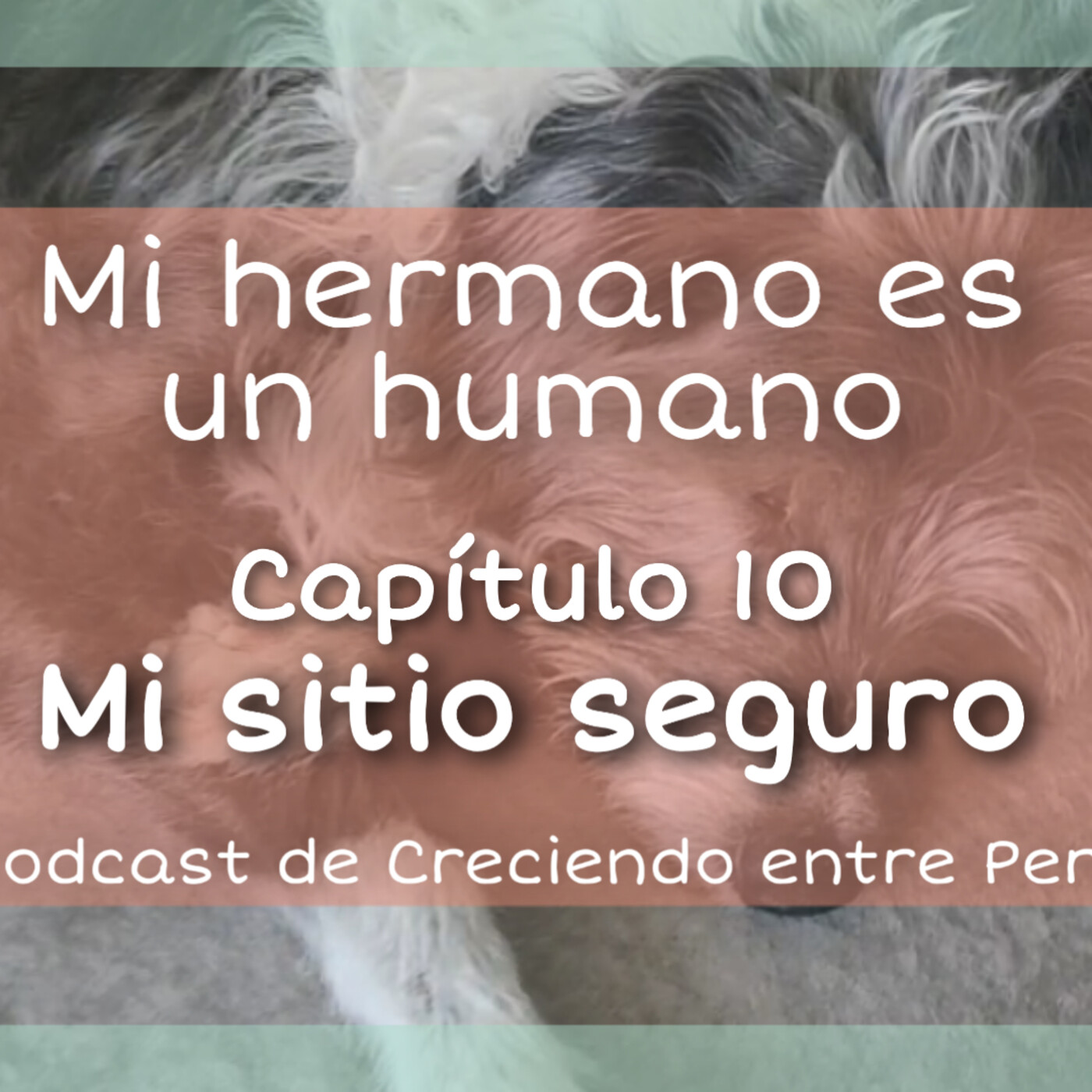 Mi hermano es un humano