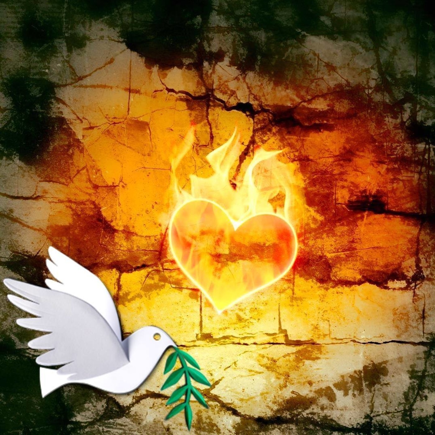 Transformando al corazón