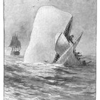 Moby Dick (2019/12/06)