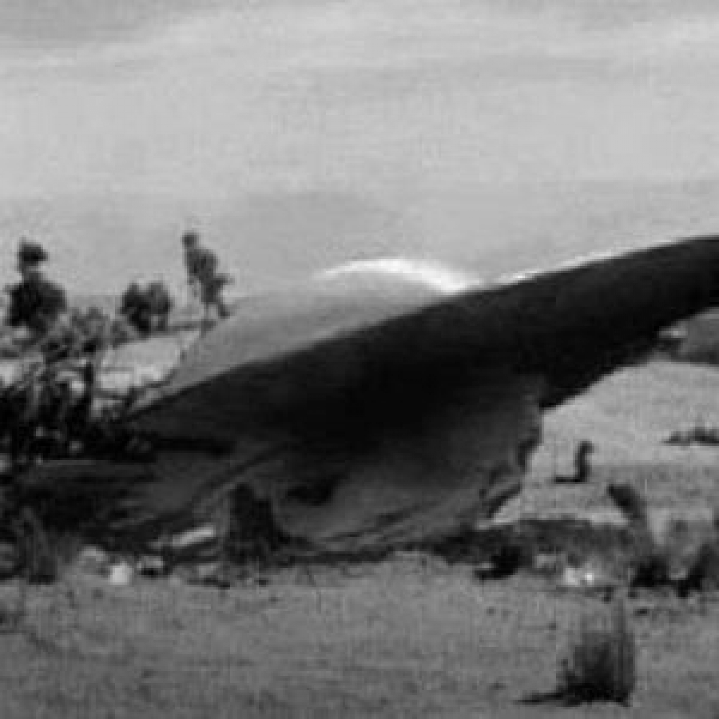 Roswell Veredicto Final: 2- Invasión Alienigena #Alienigenas #misterio #investigacion #documental episode artwork