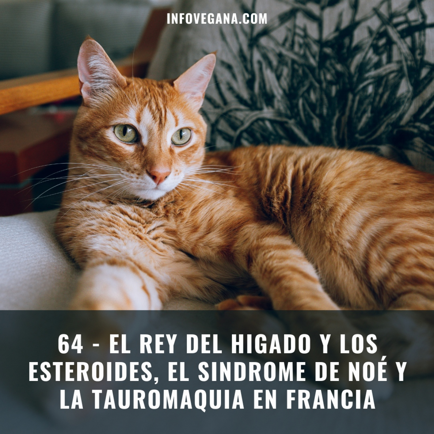 Infovegana, podcast de veganismo y sostenibilidad