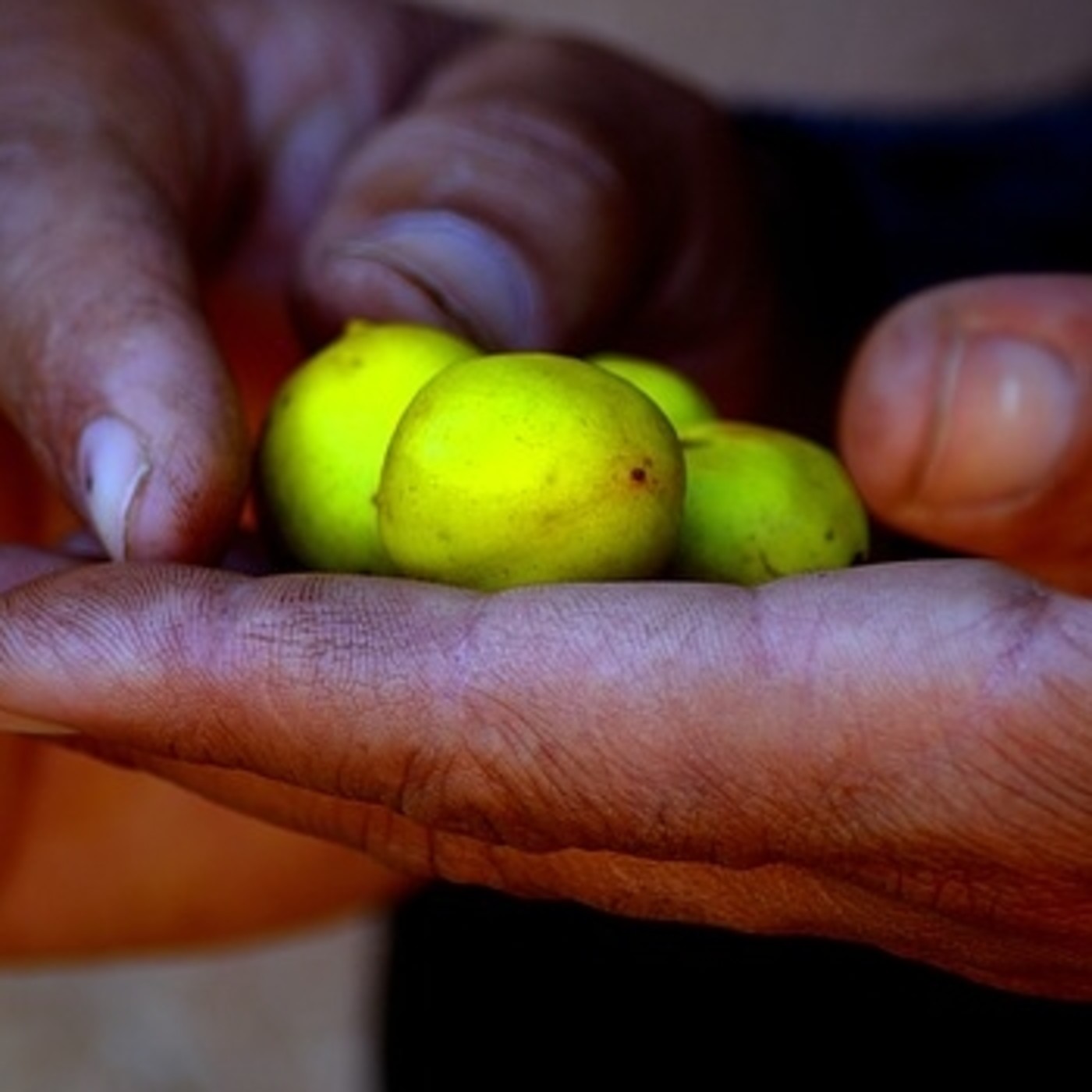 Soluciones naturales para combatir las arrugas