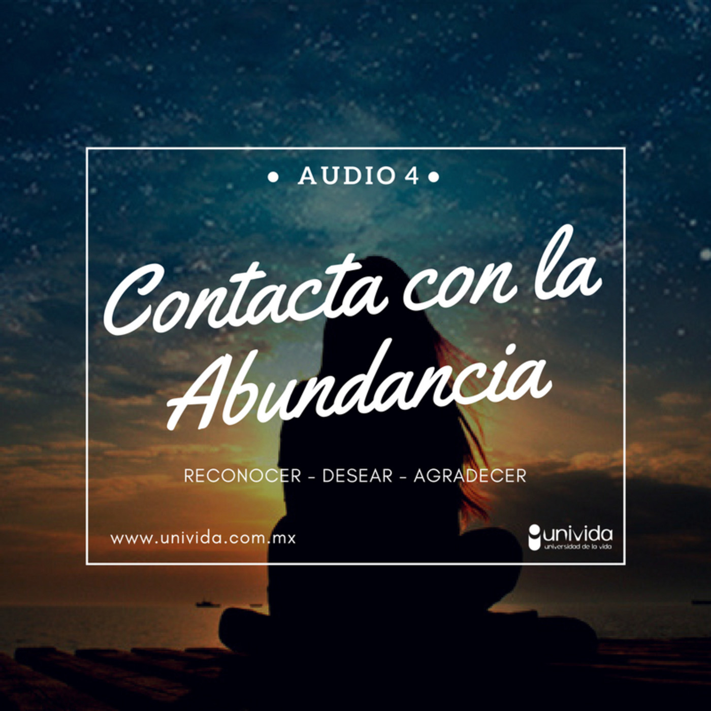 Conecta con la Abundancia |Audio 4