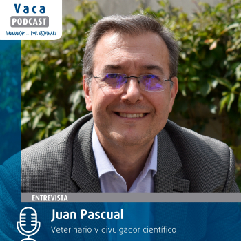 Juan Pascual