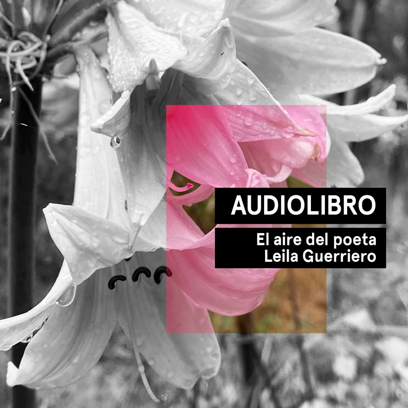 Audiolibros Por qué leer