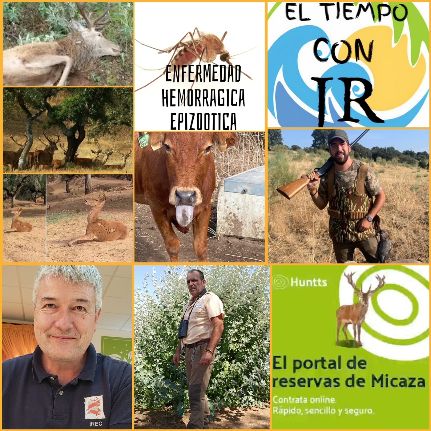 EL MORRAL DEL CAZADOR 25-08-2023 PROG 338