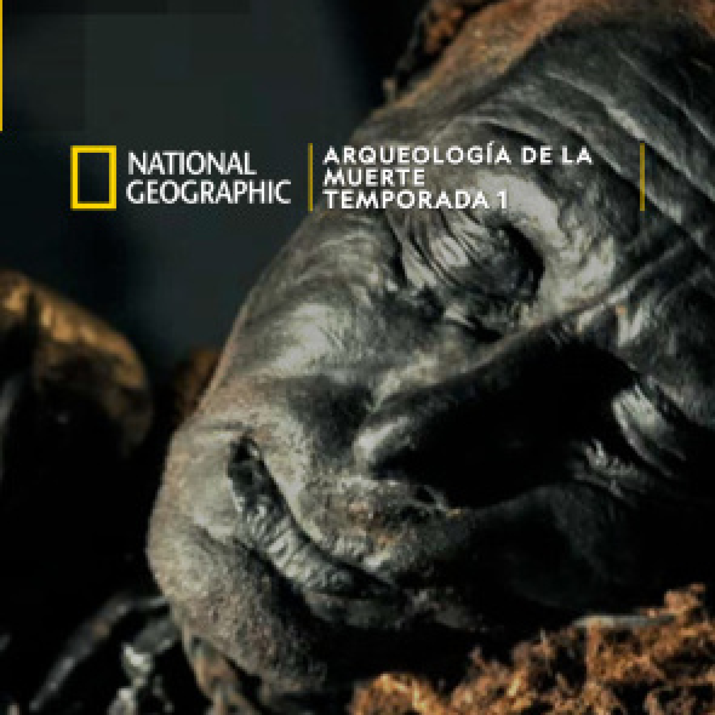 Arqueología de la muerte:Los hombres de Weerdinge · La Mujer de Haraldskær