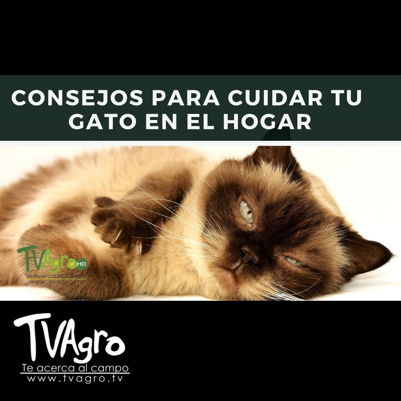 TV AGRO