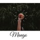 Caribemkrnado Mango