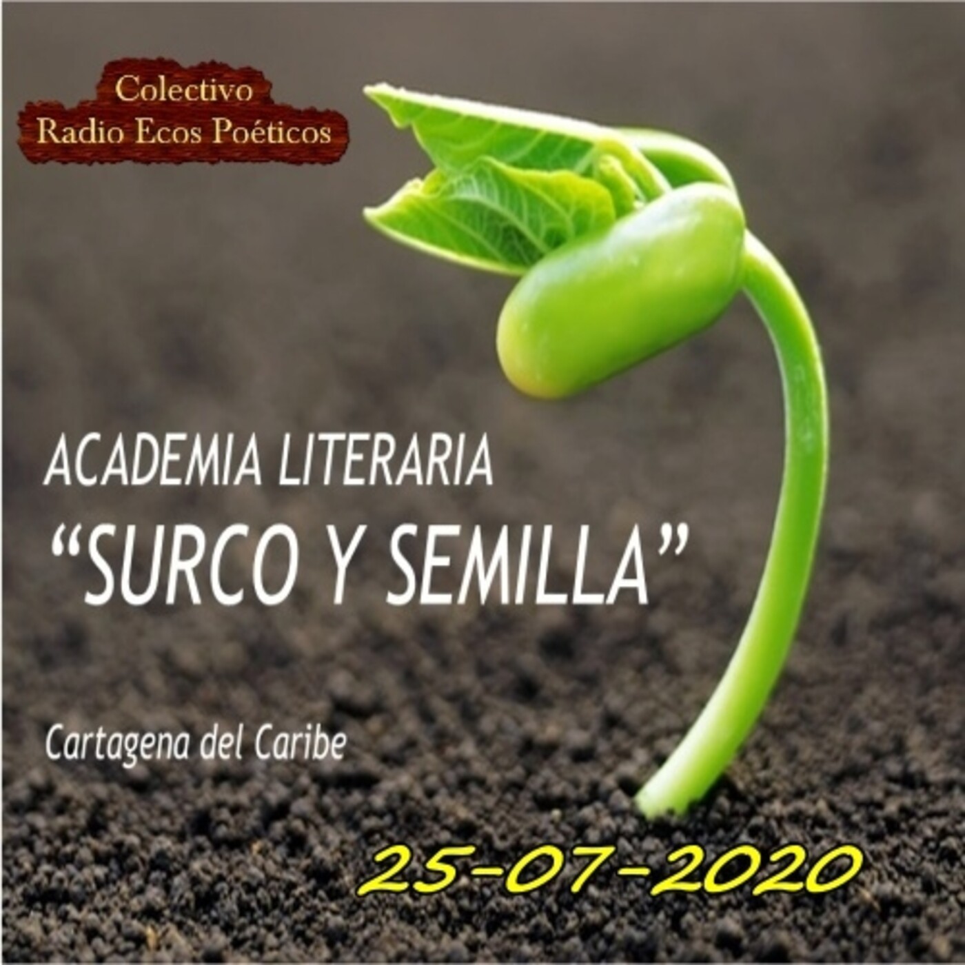 ACADEMIA LITERARIA SURCO Y SEMILLA